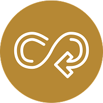 SDG Icon