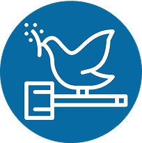 SDG Icon