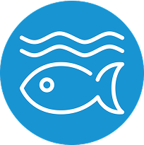 SDG Icon