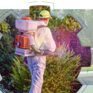 Perennial Services Group